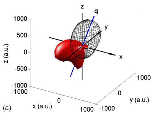 Differential cross section